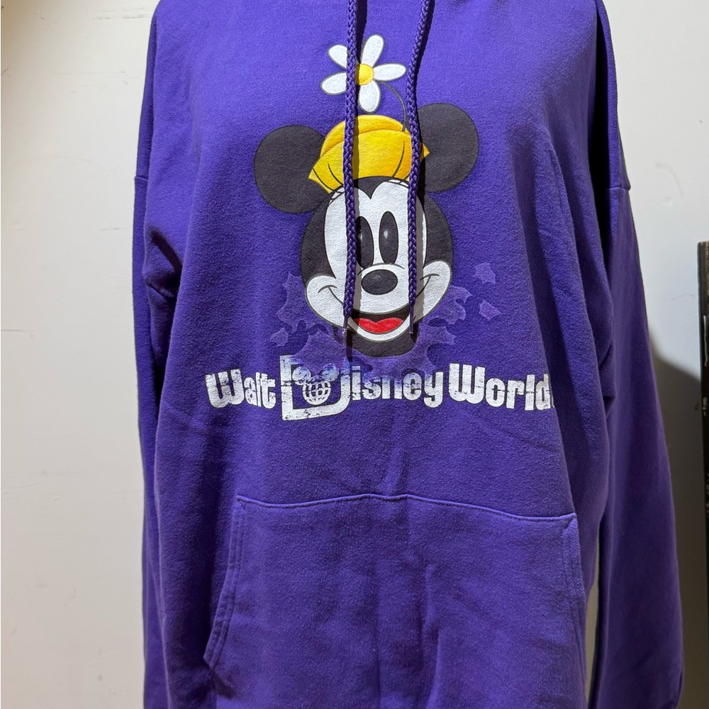 Hanes Purple Disneyland Hoodie